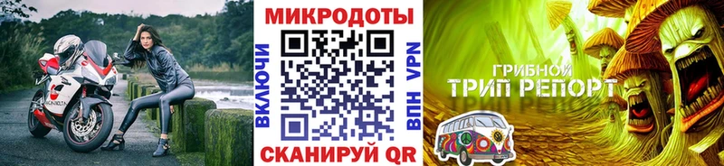 купить наркотики сайты  мега онион  Псилоцибиновые грибы Cubensis  Болгар 